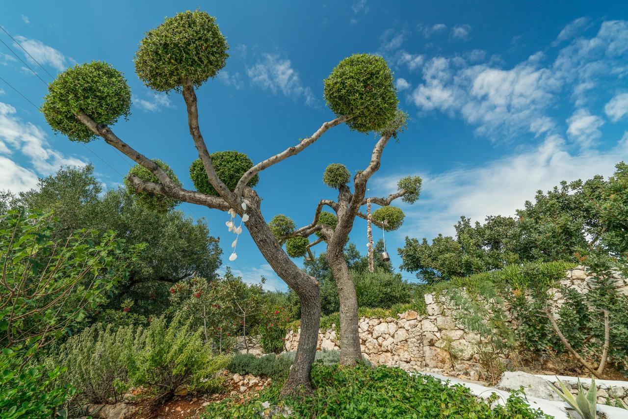 Askos Stone Villa - The Island Panorama Agios Nikolaos  Buitenkant foto